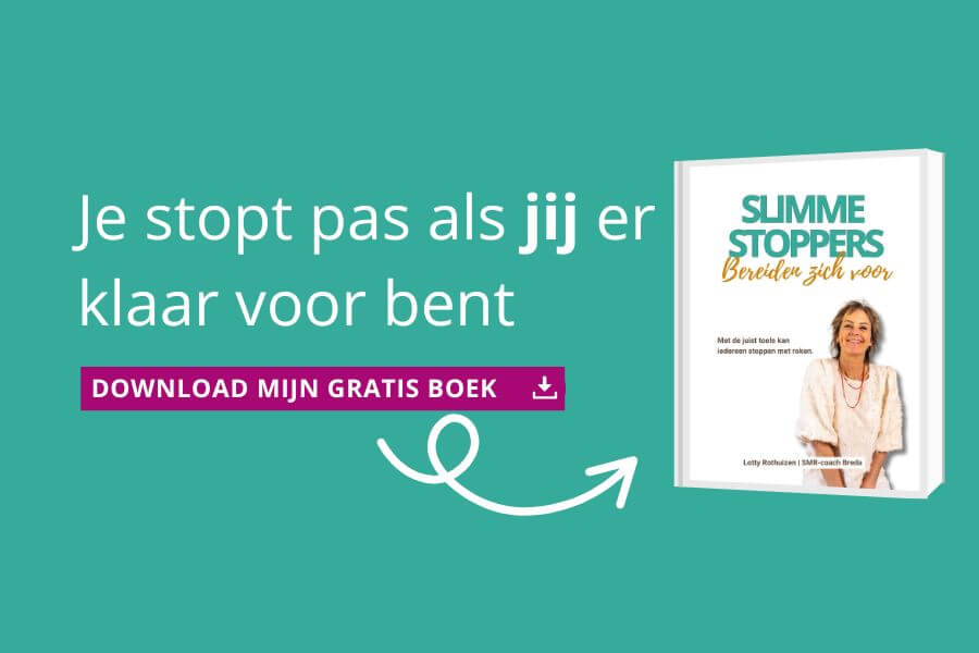 e-book downloaden SLIMME STOPPERS